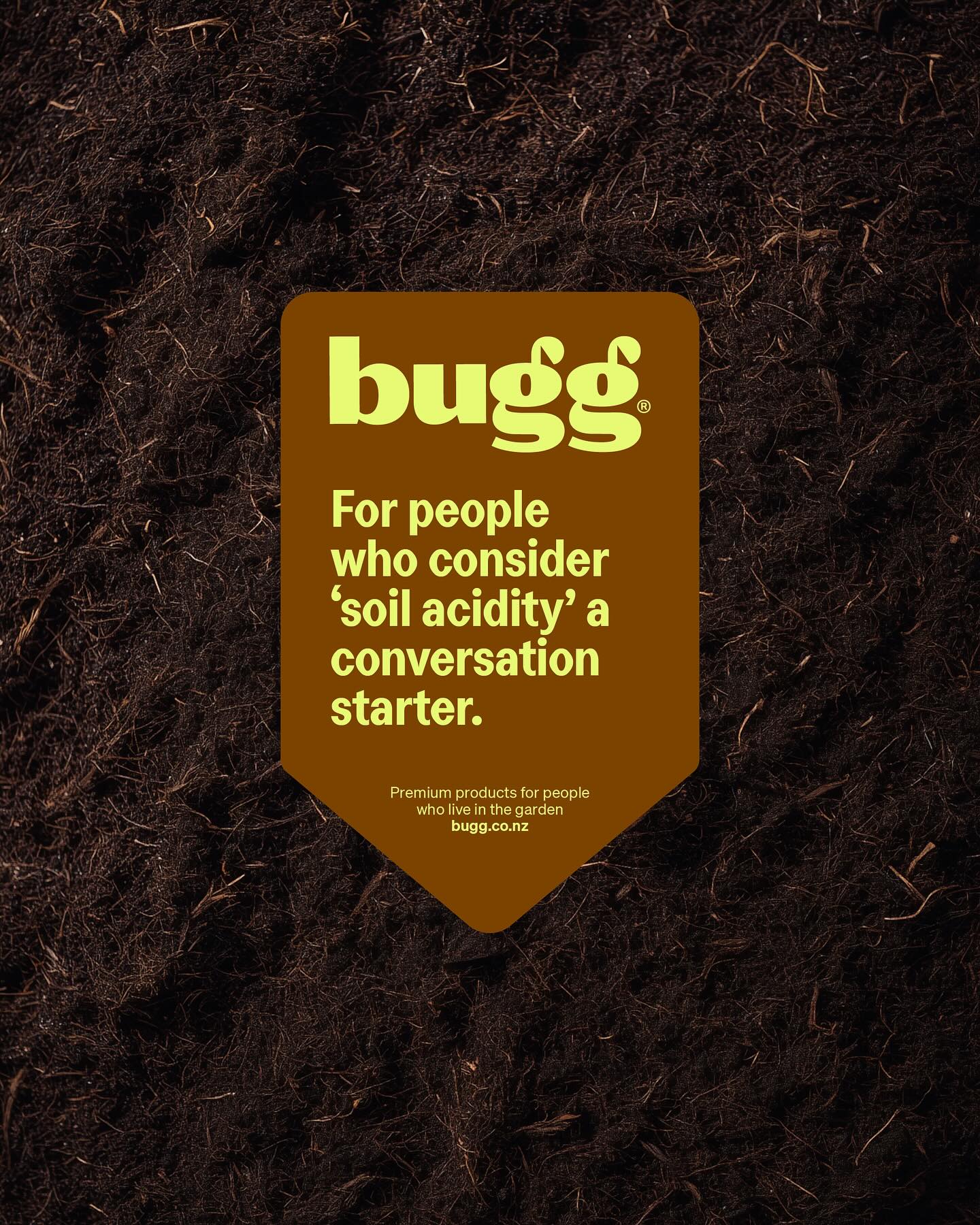 Bugg additional visual 4