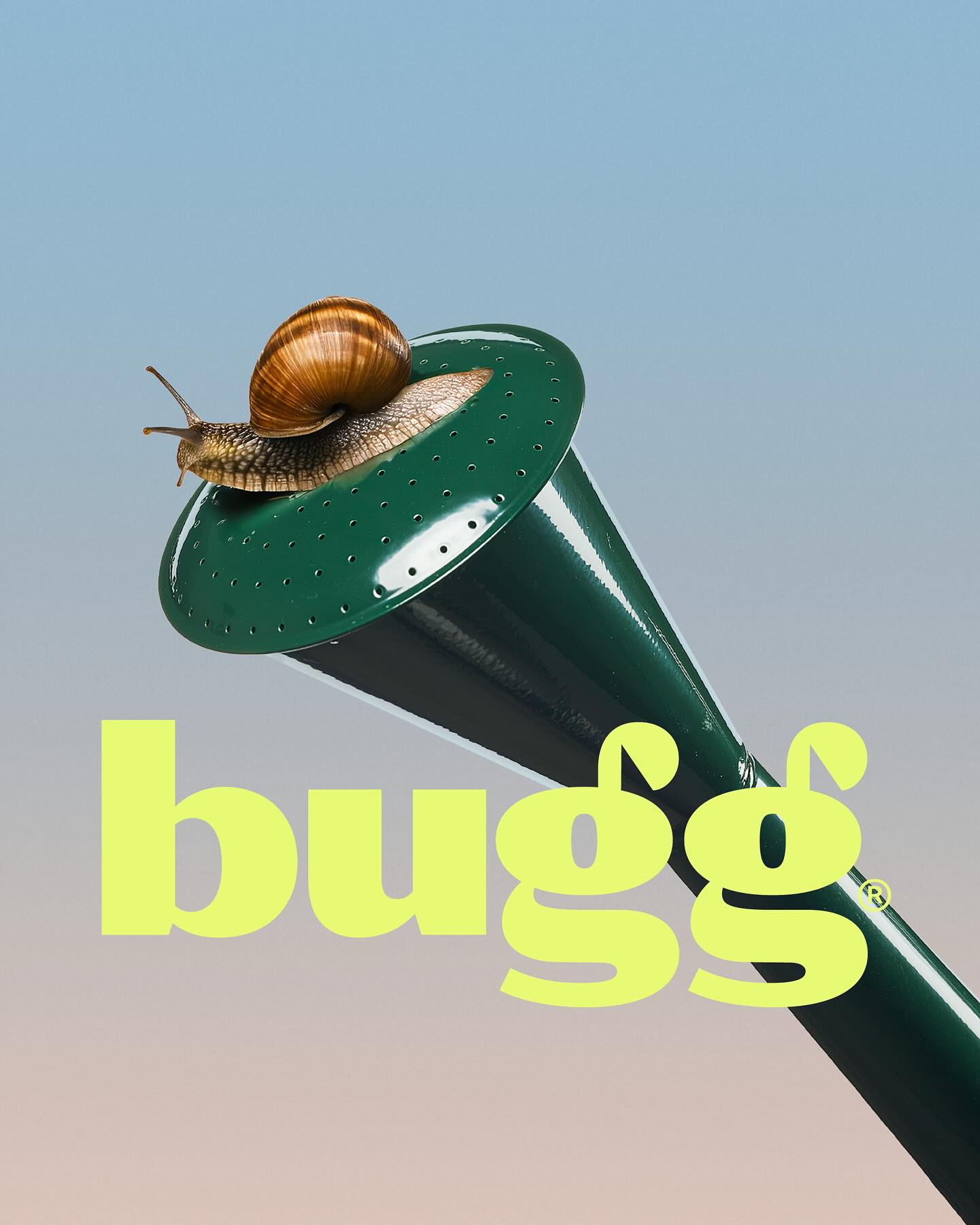 Bugg primary visual